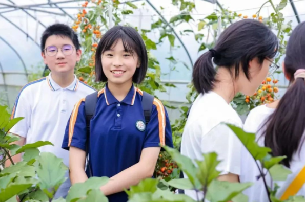 <b>校园启动学生们归纳运用化学物理生物等学科常识打开实践</b>