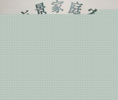 河南省光山县脱贫后继续发展农村电商—— “用